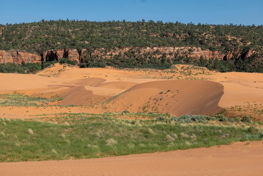 utah concealed carry reciprocity states